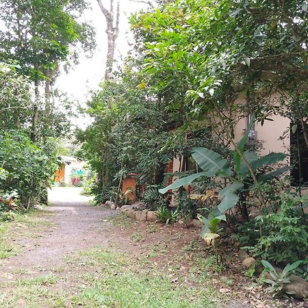 Casitas del Bosque Monteverde. Habitación foto