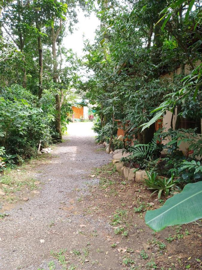 Casitas del Bosque Monteverde. Exterior foto