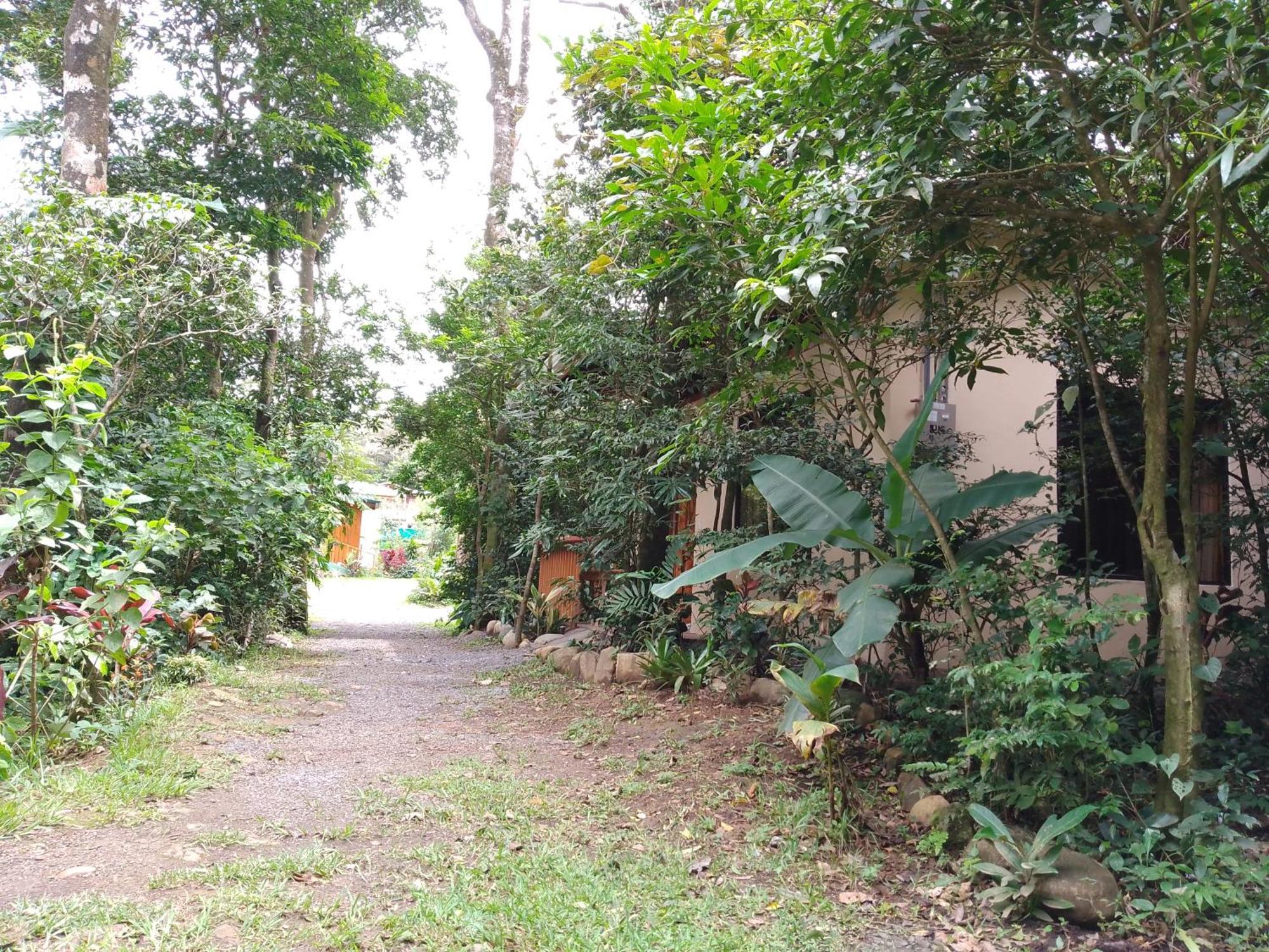 Casitas del Bosque Monteverde. Habitación foto